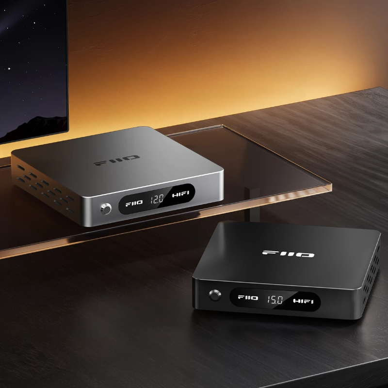FiiO DARKSIDE PRO Decoder mit  – Power Supply Bewertung und Preis